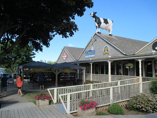 Cow above all else #pei #cavendish #cavendishboardwalk #cowsicecream #latergram #cow