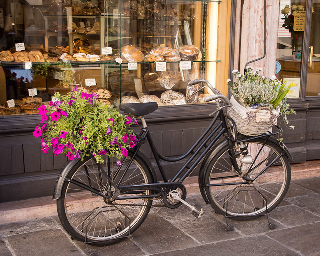 bicycle flower planter