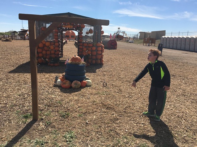 Maxwell's Pumpkin Farm