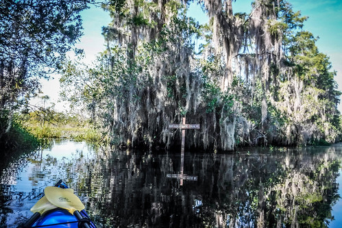 Lowcountry Unfiltered at Okefenokee-050