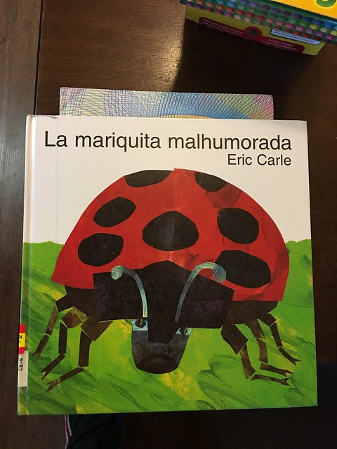 Epic Bug Camp