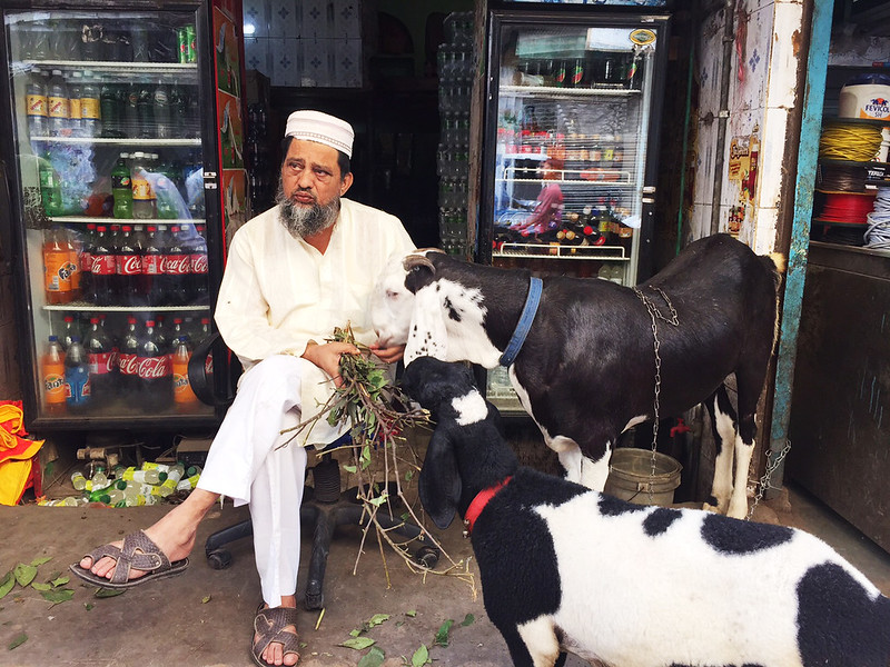 City Faith - The Ballad for the Eid Goats, Old Delhi