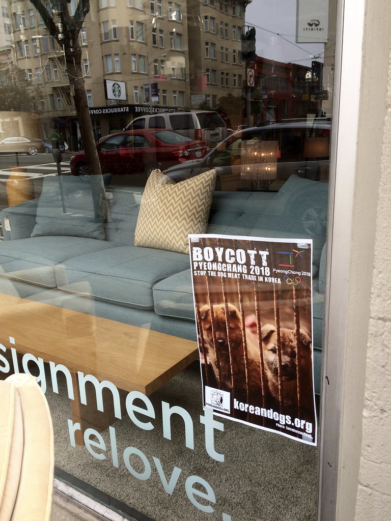 KoreanDogs.org posters on Leftovers Home Consignment Store in San Francisco