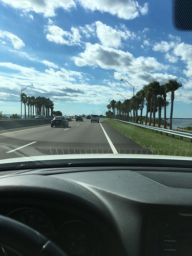 Rolling Down The Causeway