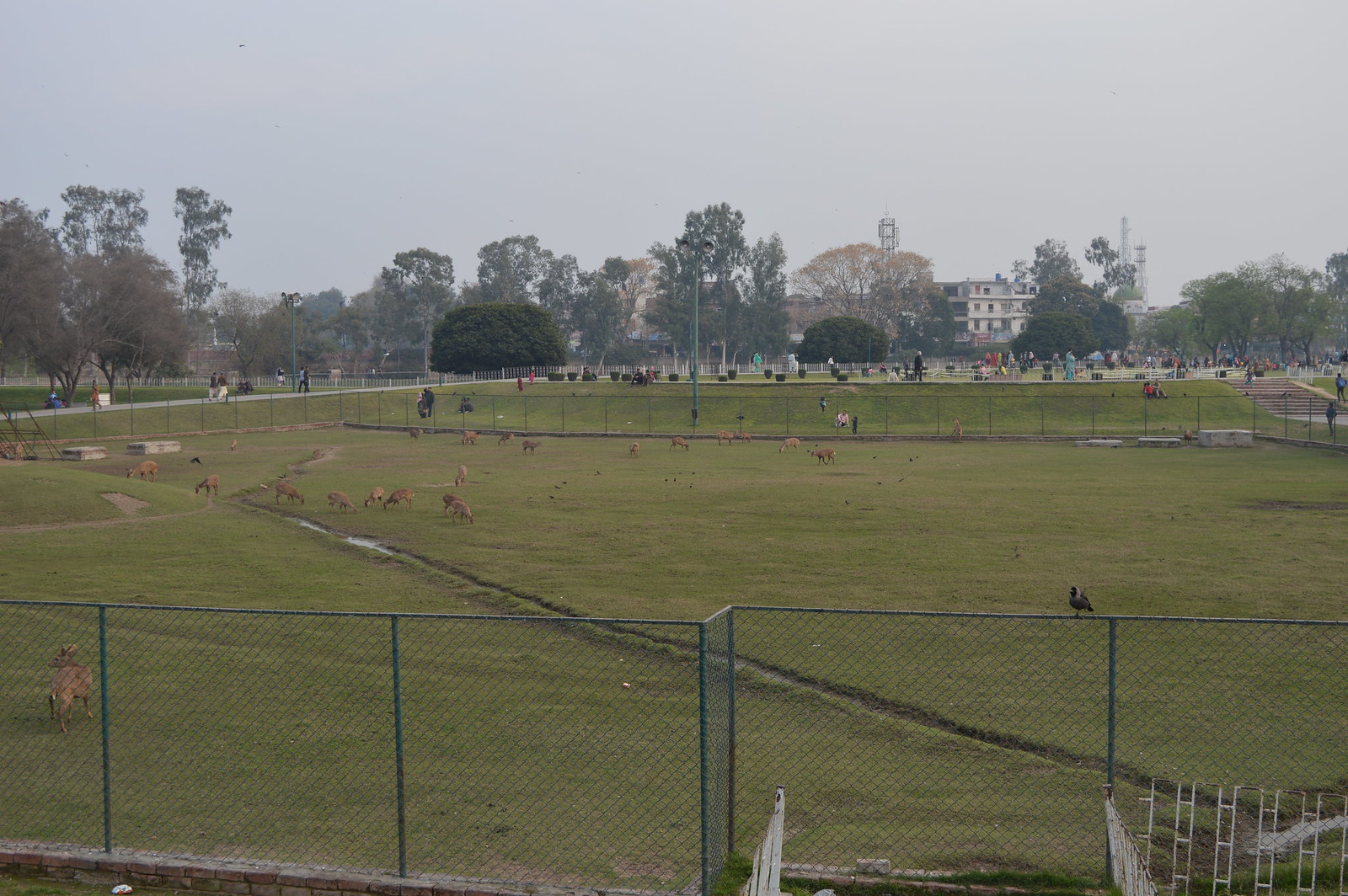 Gulshan-e-Iqbal Park Lahore | by sqadree