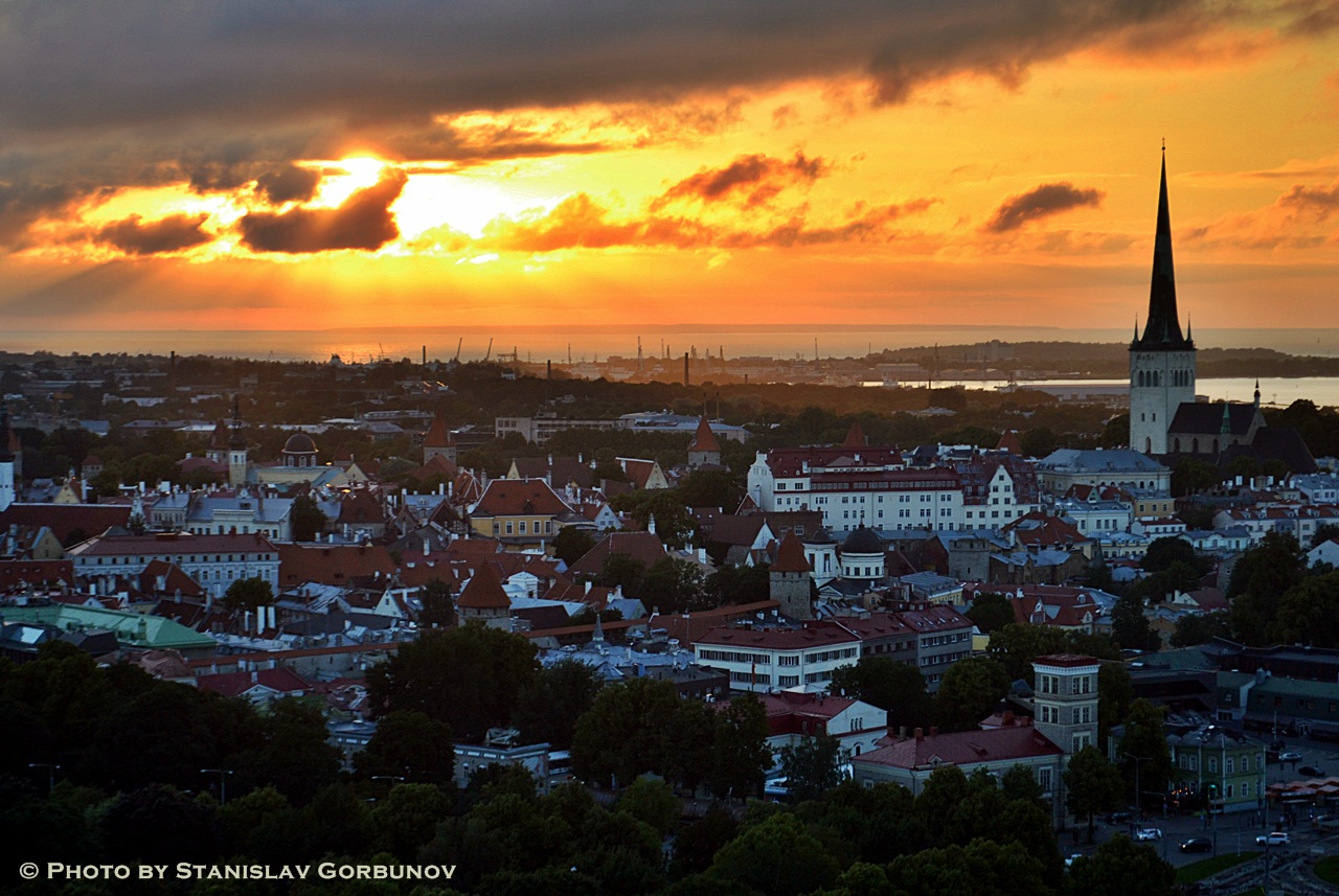 Как посетить шесть лучших обзорных точек Таллина за один день – личный опыт!
