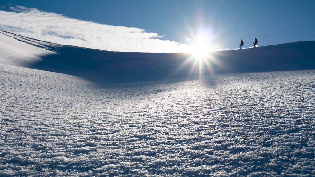 Ski en poudreuse