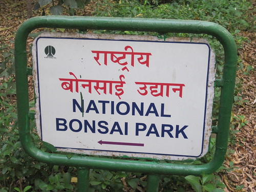 National Bonsai Park at Lodhi Gardens