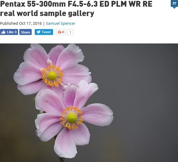 HD PENTAX-DA 55-300mmF4.5-6.3ED PLM WR RE サンプル画像