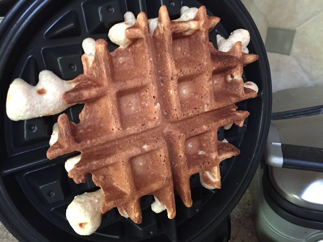 Organic Central Milling 6-Grain Waffle