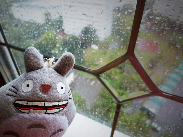 Day #202: totoro hid from the rain
