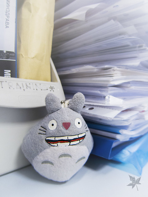 Day #264: totoro has a lot of paper for burning