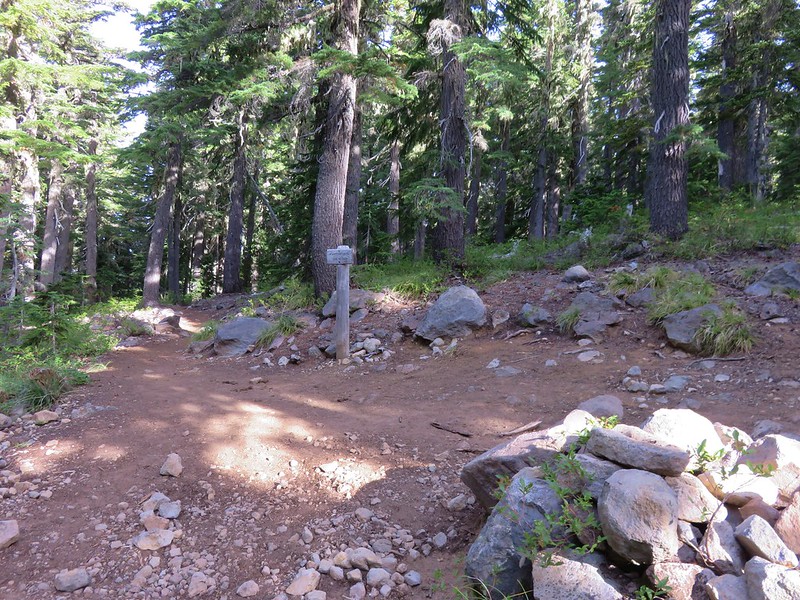 Junction with the Whitewater Creek Trail
