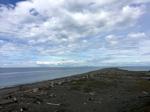 Dungeness Spit-7