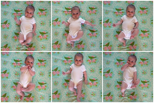 Five Months Collage
