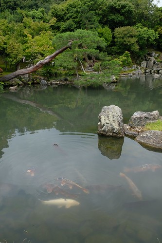 嵯峨嵐山の名刹天龍寺で美しき日本を愛でる