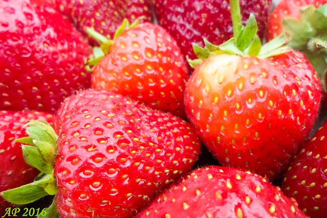 Fraises britanniques / British Strawberries