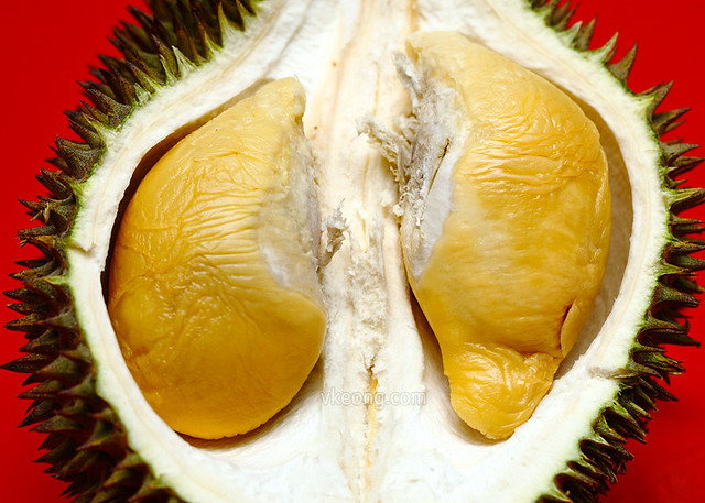 Sinnaco D24 Durian