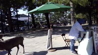 Luna de Miel por libre en Japon Octubre 2015 - Blogs de Japon - Día 4 Himeji, Nara y noche en Osaka (23)