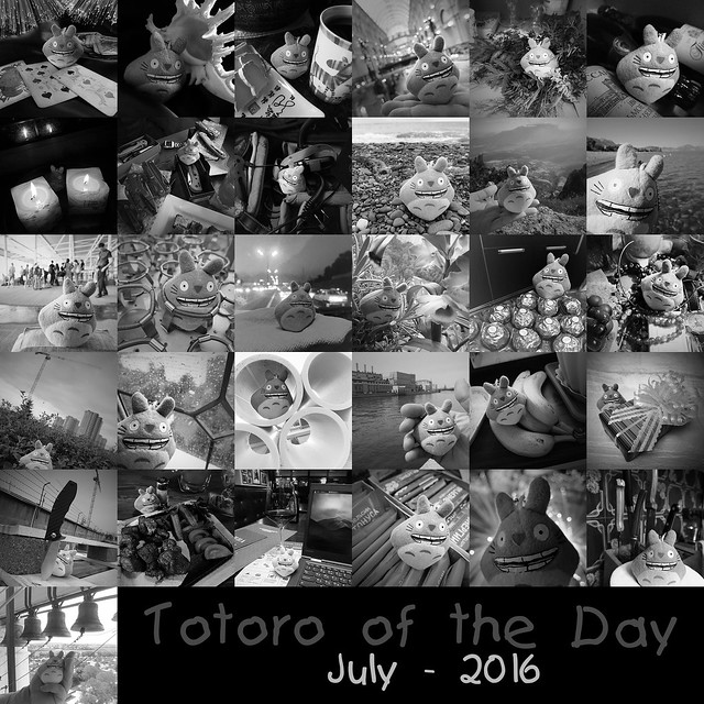 Totoro of the Day - 2016 - July